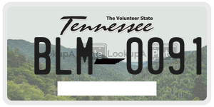 BLM0091  license plate in TN