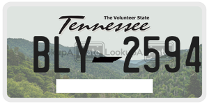BLY2594  license plate in TN