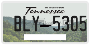 BLY5305  license plate in TN