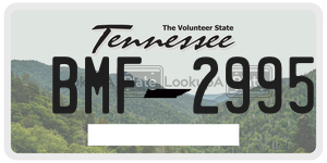 BMF2995  license plate in TN
