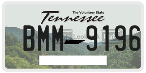BMM9196  license plate in TN