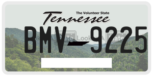 BMV9225  license plate in TN