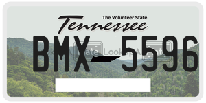 BMX5596  license plate in TN