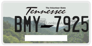 BMY7925  license plate in TN