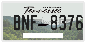BNF8376  license plate in TN