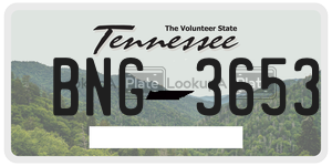 BNG3653  license plate in TN