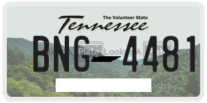 BNG4481  license plate in TN