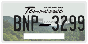 BNP3299  license plate in TN