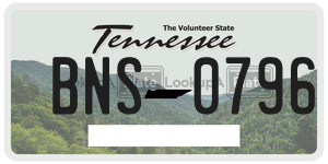 BNS0796  license plate in TN
