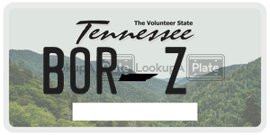 BORZ  license plate in TN