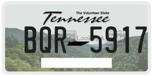 BQR5917  license plate in TN