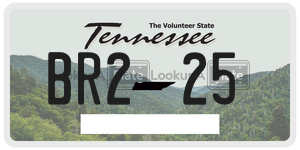 BR225  license plate in TN