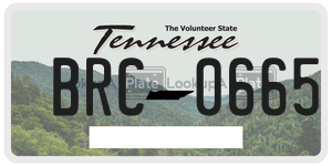 BRC0665  license plate in TN