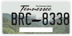 BRC8338  license plate in TN