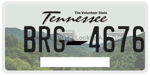 BRG4676  license plate in TN