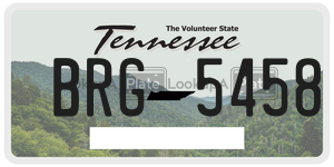 BRG5458  license plate in TN