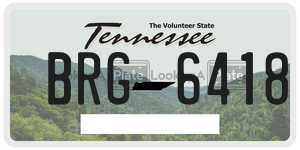 BRG6418  license plate in TN