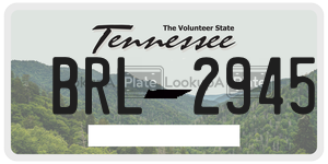 BRL2945  license plate in TN