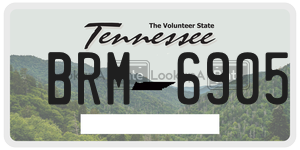 BRM6905  license plate in TN