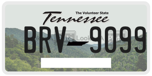 BRV9099  license plate in TN