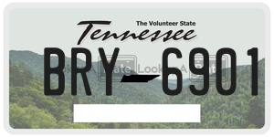 BRY6901  license plate in TN