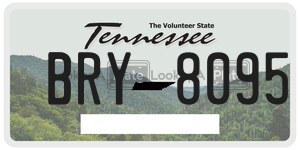 BRY8095  license plate in TN