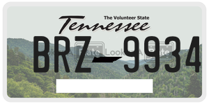 BRZ9934  license plate in TN
