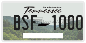 BSF1000  license plate in TN