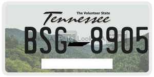 BSG8905  license plate in TN