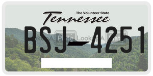BSJ4251  license plate in TN