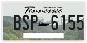 BSP6155  license plate in TN