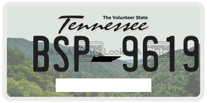 BSP9619  license plate in TN