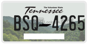 BSQ4265  license plate in TN