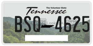 BSQ4625  license plate in TN