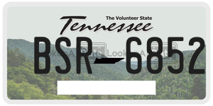 BSR6852  license plate in TN