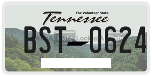 BST0624  license plate in TN