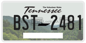 BST2481  license plate in TN