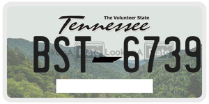 BST6739  license plate in TN