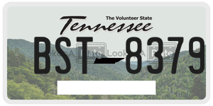 BST8379  license plate in TN