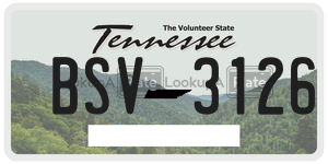BSV3126  license plate in TN