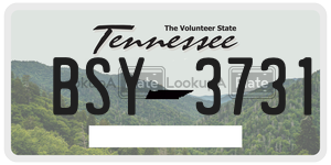 BSY3731  license plate in TN