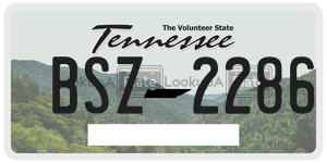 BSZ2286  license plate in TN