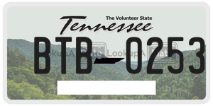 BTB0253  license plate in TN