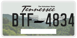 BTF4834  license plate in TN