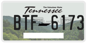 BTF6173  license plate in TN