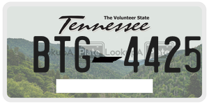 BTG4425  license plate in TN