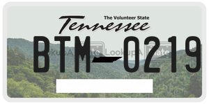 BTM0219  license plate in TN