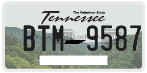 BTM9587  license plate in TN