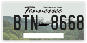 BTN8668  license plate in TN