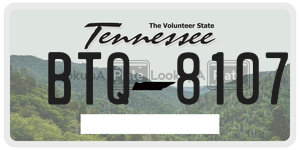 BTQ8107  license plate in TN